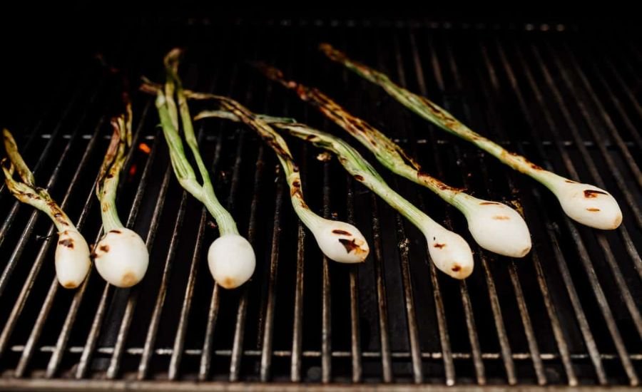 Onion bulbs